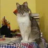 Отзыв от Нинель Воронина